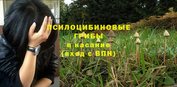 2c-b Балабаново